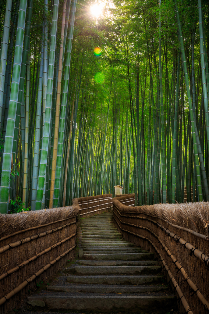 Arashiyama bamboo forest, Kyoto, Japan.