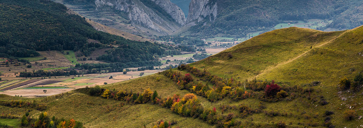 Cheile Valisoarei, Alba, Romania.