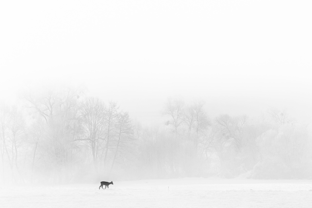 A cold winter morning in Harghita. Nagykadacs, Harghita, Romania, 2016.